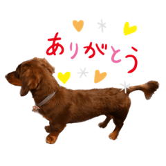 omochi_20221202125934