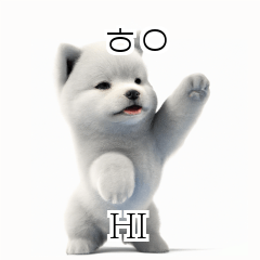 Thai Korean TH KR Samoyed bmD