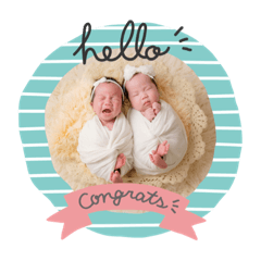 丹丹秀秀雙寶圖