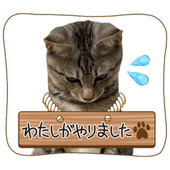 chocomint_20221202153021