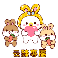 Rabbit baby cat_YUN ZHEN