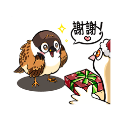 Cute Bird Life-Christmas