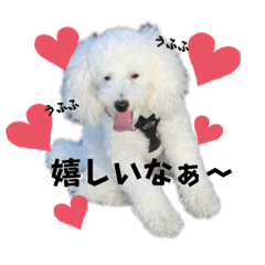 beppo_20221202165618