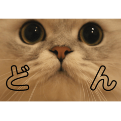 mizuki_20221202165845