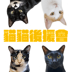 貓貓後援會