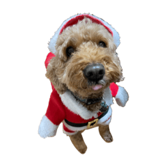 Natsumi_20221202182809