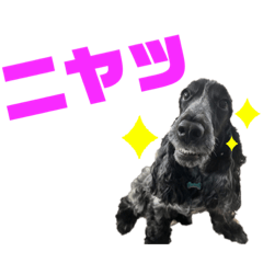 aoi_20221202191052