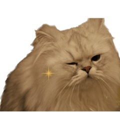 mizuki_20221202173747