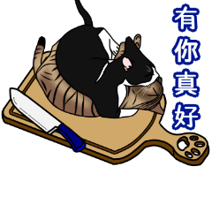 胖圓圓與小肥虎-常用語