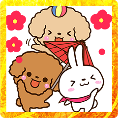 Toy poodle and Rabbit