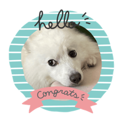 yu.kaneko_20221203121020