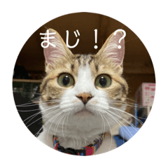 yuto_20221203120243