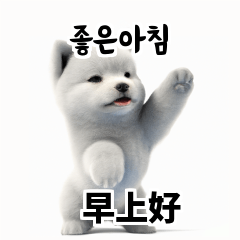 Samoyed KR EN JP TH CN TW 5jJ