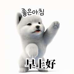 [韓語]可愛的小天使北極白色小狗 a3R