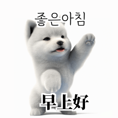 Samoyed KR EN JP TH CN TW mRQ