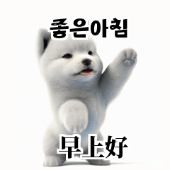 Samoyed KR EN JP TH CN TW BB4