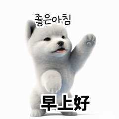 [韓語]可愛的小天使北極白色小狗 sdF