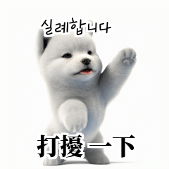 Samoyed KR EN JP TH CN TW fqr