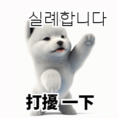 Samoyed KR EN JP TH CN TW 56y