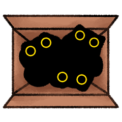 Owl Black Cat Playing Box