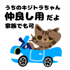 kawaii kitty cat kijitora's stickers 6