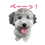 Cute Animal Communication Sticker 5