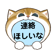 Suzu_20221203154106