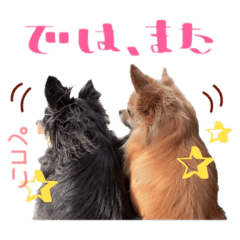 shiho_20221203175729