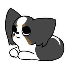 Expressionless Papillon
