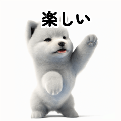 Samoyed KR EN JP TH CN TW W1