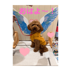 Sayuri_20221203232306