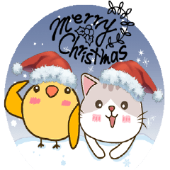 白小純萌貓wado與3色羽鳥鳥pira-聖誕特輯
