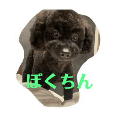 yukari_20221204000140