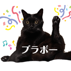 Ruru_20221204133936
