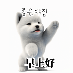 Samoyed KR EN JP TH CN TW 4lG