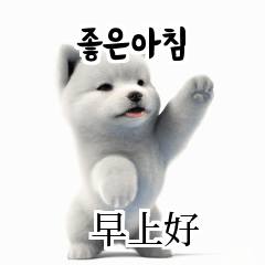 [韓語]可愛的小天使北極白色小狗 Bmg