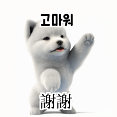 [韓語]可愛的小天使北極白色小狗 qcB