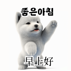 [韓語]可愛的小天使北極白色小狗 d4j