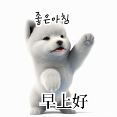 [韓語]可愛的小天使北極白色小狗 Jkc