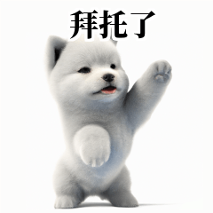 Samoyed KR EN JP TH CN TW kP_