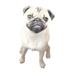 mizuki_20221204150023