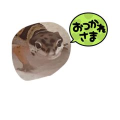 tora-pe-ku-me_20221204153409
