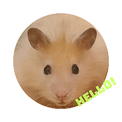 Cute Hamster Remy Stamp