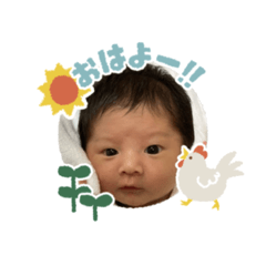 わが家のアイドルあおたん