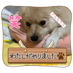 mitsuki_20221204215952