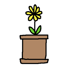 plant Pot