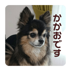omochi_20221205010626