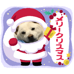 sachiko_20221205071442