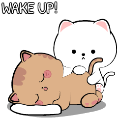 White Cat 6 : Animated Stickers