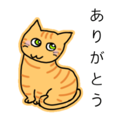 Lovely cat azarashisan sticker